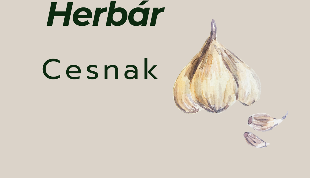 cesnak