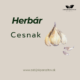 Herbár : Divozel